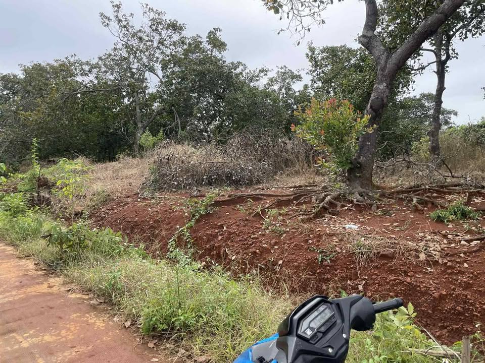 Đất vườn 2ha tại xã Phú Trung, Đồng Nai - Giá 2.8 tỷ, thương lượng nhẹ!