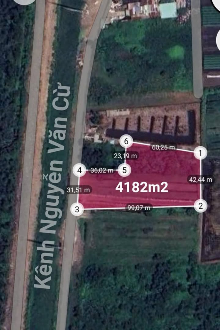 Đất mặt tiền Nguyễn Văn Cừ Bà Điểm 4182m² giá 23 tỷ - Tiện làm kho xưởng!