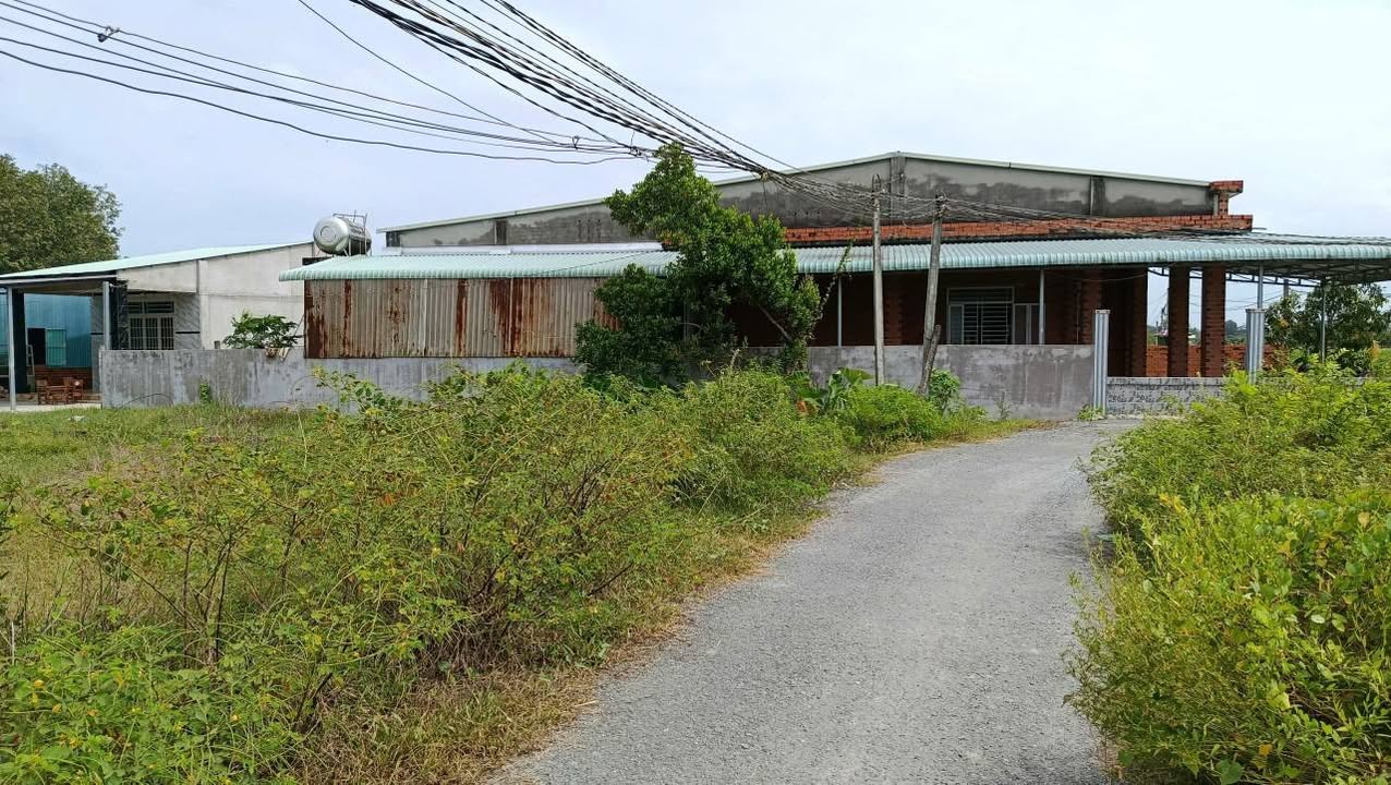 Đất thổ cư 75m² tại Gò Dầu, Tây Ninh giá 530 triệu - Pháp lý rõ ràng!