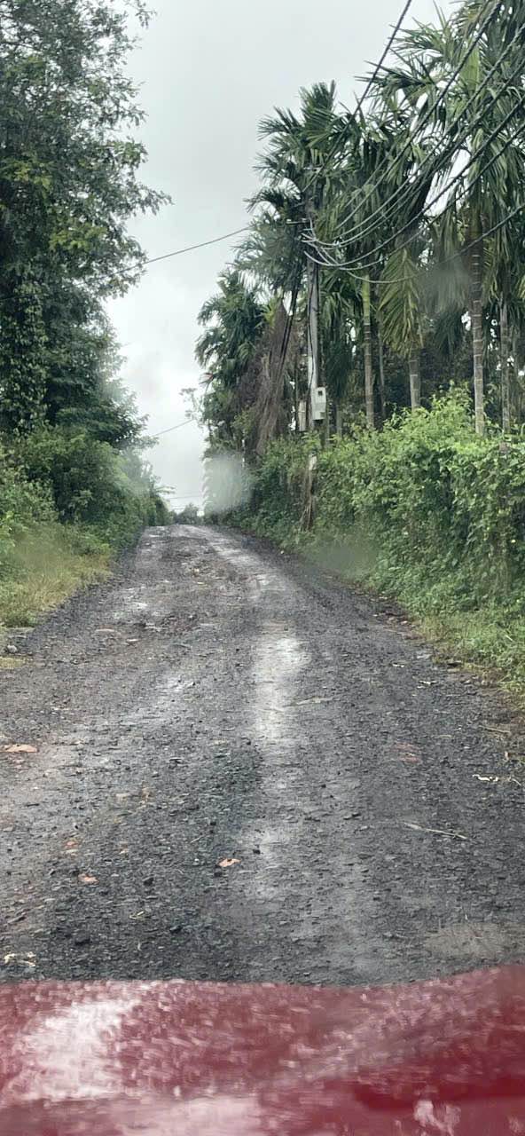 Đất nền 1 sào Buôn Kamleo Tân Lập 3600m² giá 599 triệu - Đầu tư sinh lời ngay!