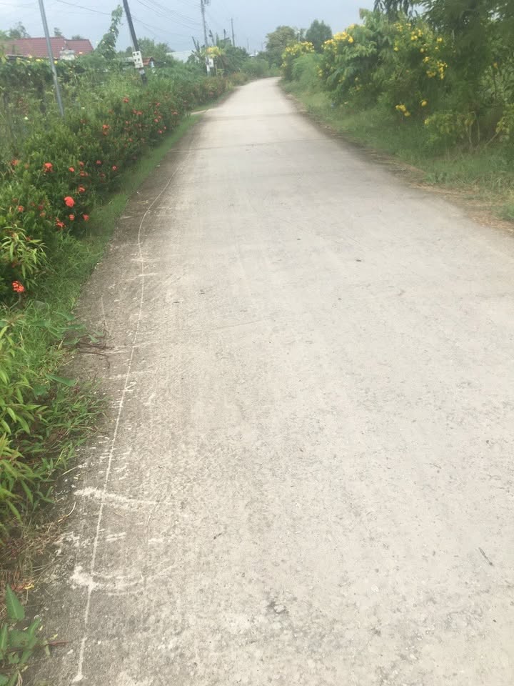 Đất phường Lý Văn Lâm 300m² giá 95 triệu - Đầu tư sinh lời ngay!