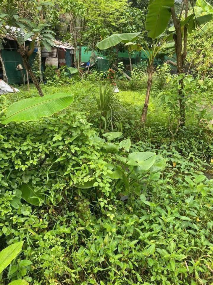 Đất nền 84,3m² tại khu phố 4, Tam Bình, Vĩnh Long - Chỉ 220 triệu, thương lượng!