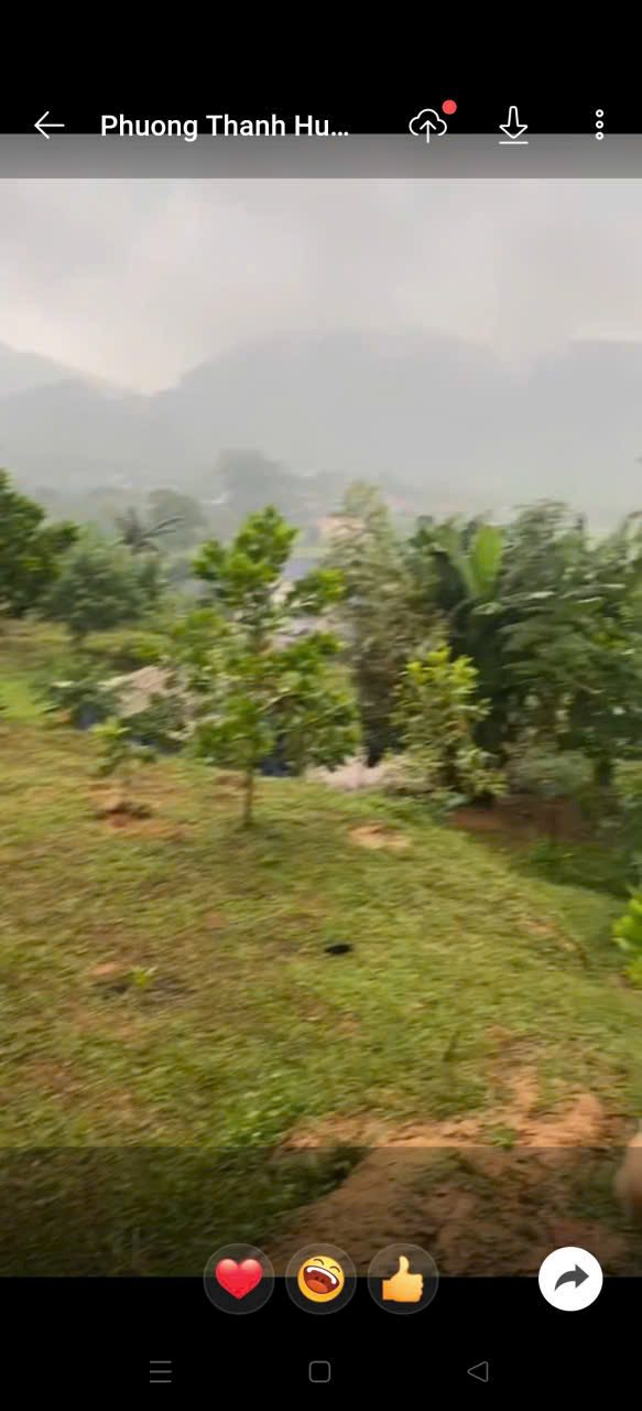 Đất thổ cư Hương Cần Phú Thọ 7000m² giá 2 tỷ - Đầu tư lý tưởng!