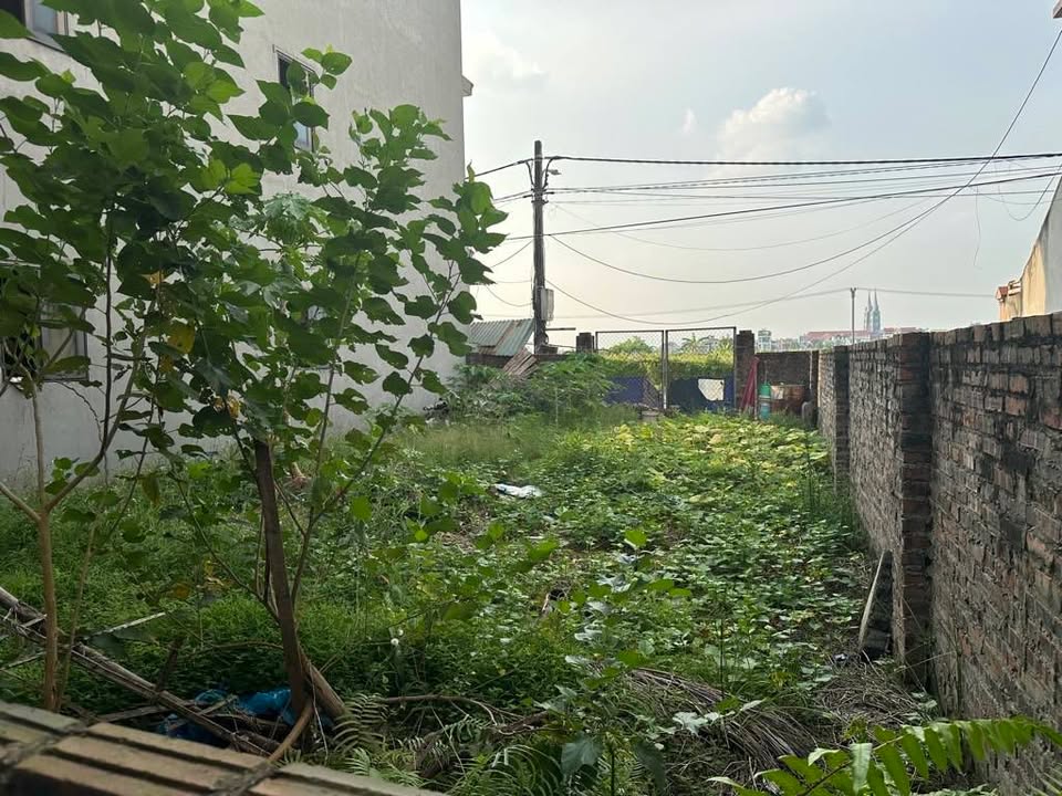 Đất nền Bìa Làng, Long Biên 110m² giá 1 tỷ - Đầu tư sinh lời ngay!