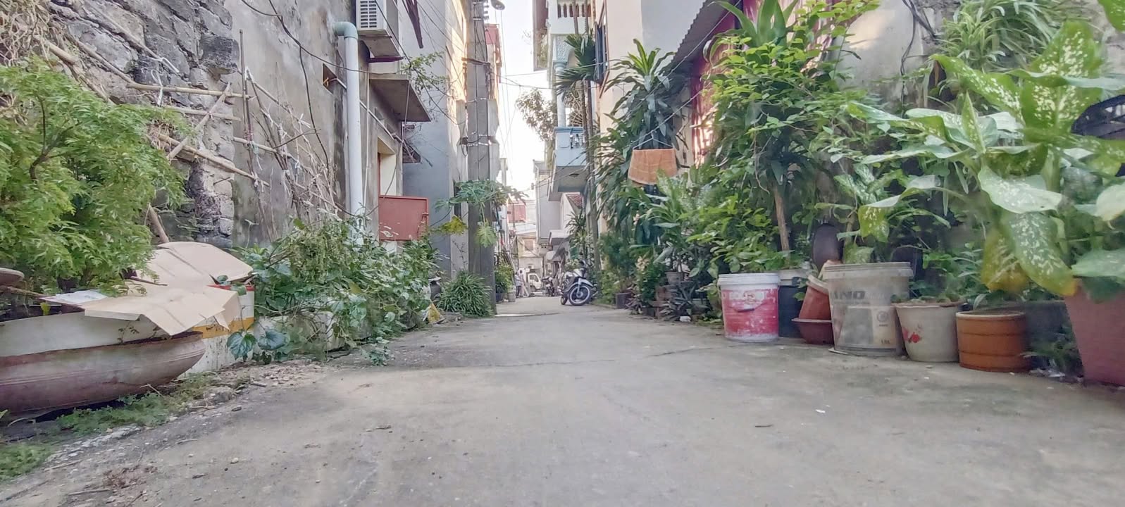 Lô đất giãn dân Thị Cầu Bắc Ninh 61.5m² giá 2.x tỷ - Đường ô tô vào tận đất!