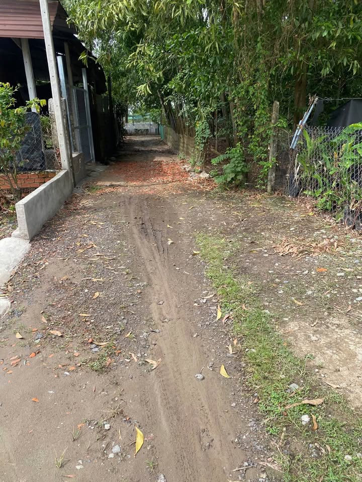 Đất thổ cư Bình Nguyên, Gò Dầu, Tây Ninh 320m² - Sổ hồng chính chủ, giá thương lượng!