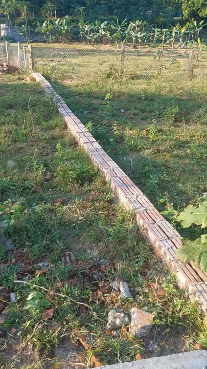 Đất Yên Bài Ba Vì Hà Nội 1170m² - Đầu tư tiềm năng gần Đại Học Quốc Gia!