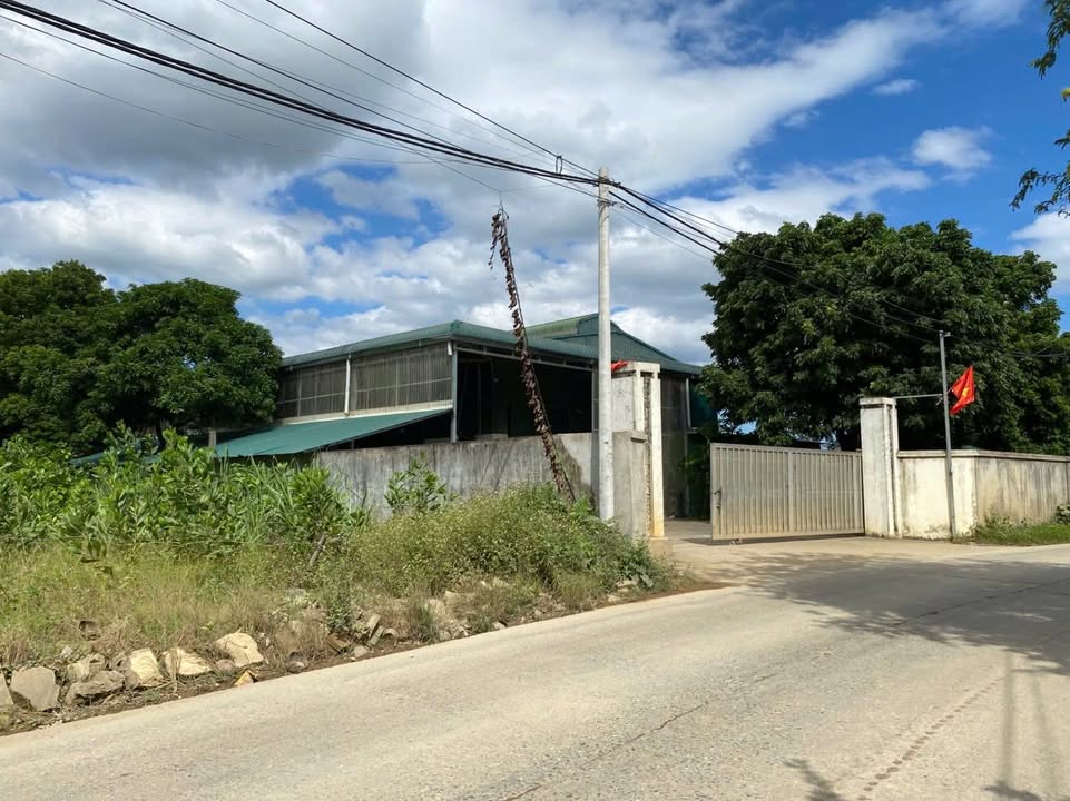 Đất nền 2000m² xã Nhuận Trạch, Lương Sơn giá 10 tỷ - Đầu tư sinh lời ngay!