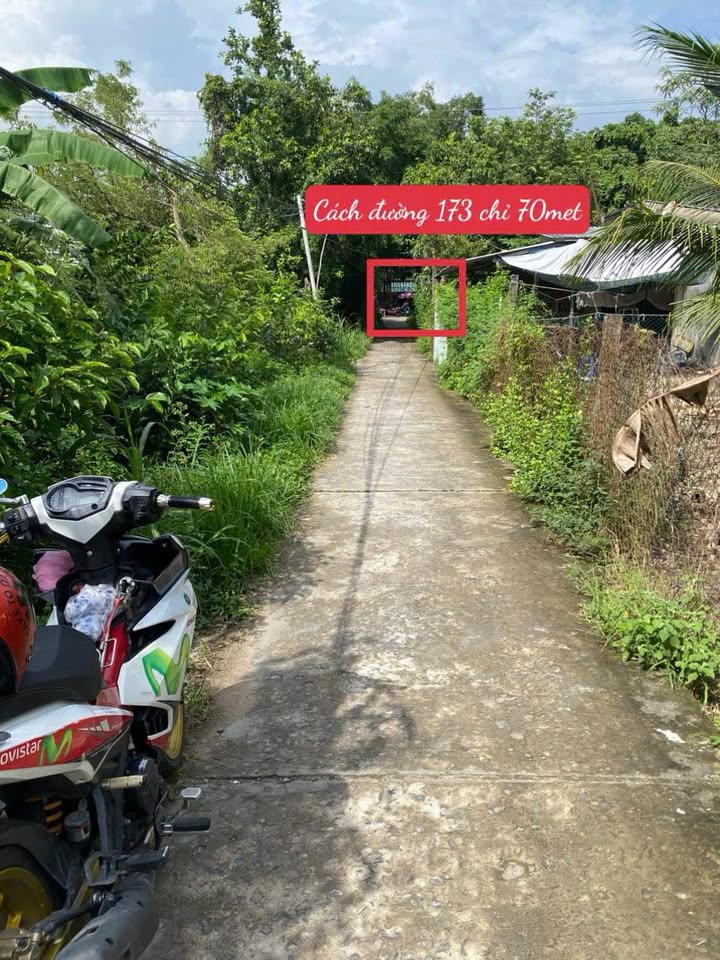 Đất nền Bến Tre 715m² giá 1.787 tỷ - Phù hợp làm khu nghỉ dưỡng!