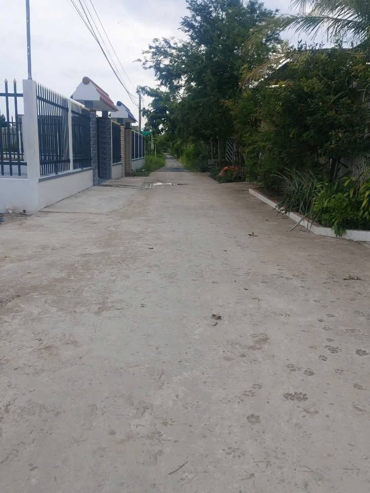 Đất nền Sơn Đông Bến Tre 138.6m² giá 490 triệu - Khu đô thị phát triển!