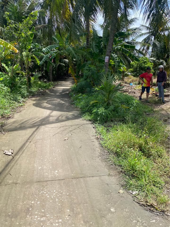 Đất nền Phú Hưng Bến Tre 1200m² giá 3 tỷ - Đầu tư sinh lời ngay!