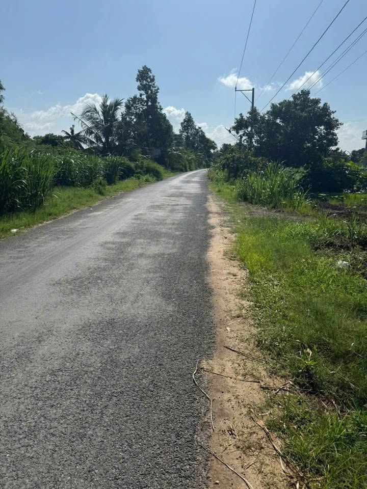 Đất nền mặt tiền ĐH11 Vĩnh Hựu, Gò Công Tây 243.8m² giá 450 triệu - Sổ đỏ chính chủ