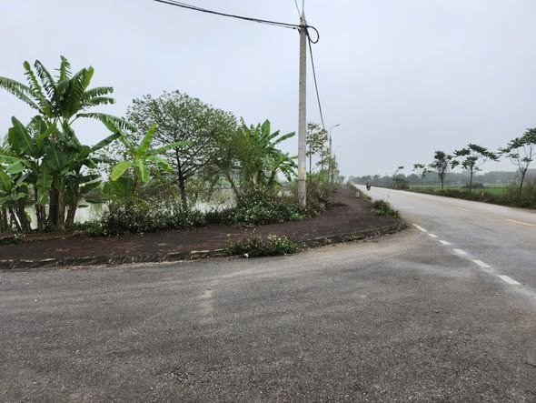 Đất nền 120m² tại Đông Minh, Đông Sơn - Giá 1.9 tỷ, thương lượng chính chủ!