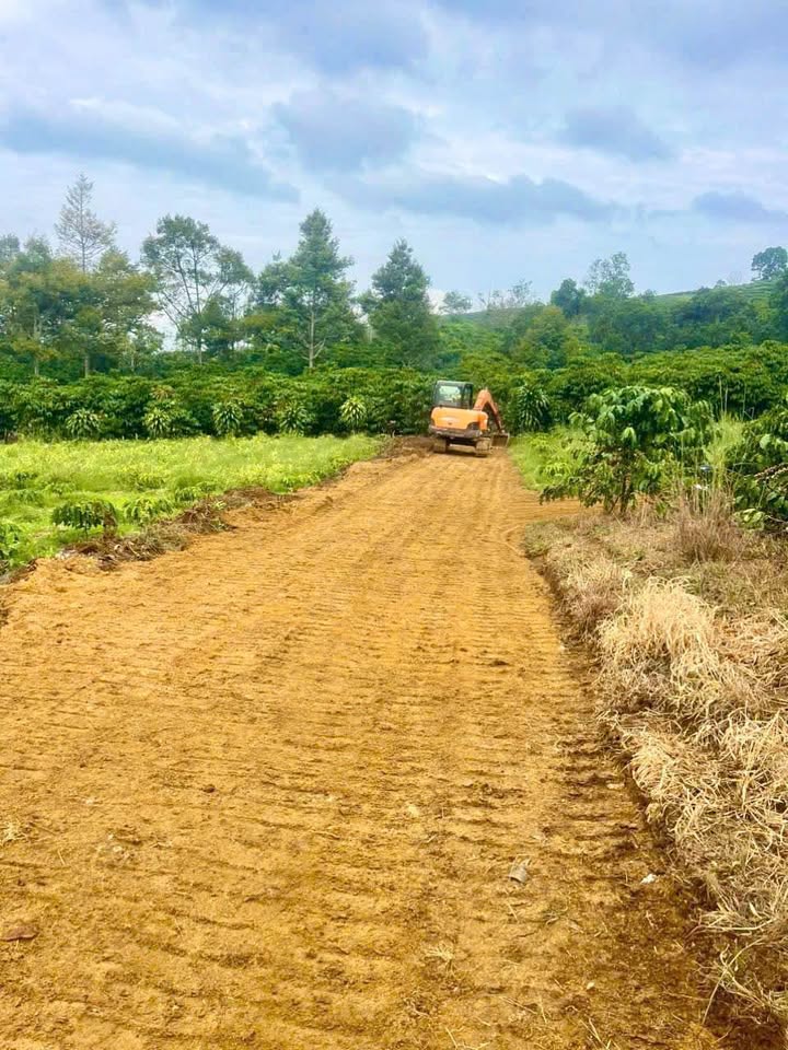 Đất nền 2300m² đường số 16, Bảo Lộc - Giá chỉ 1.3 tỷ - Đầu tư sinh lời ngay!