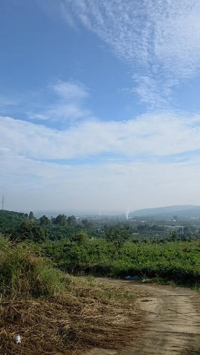 Đất nền Lộc Châu Bảo Lộc 2800m² giá 1.8 tỷ - View đẹp mê đắm!