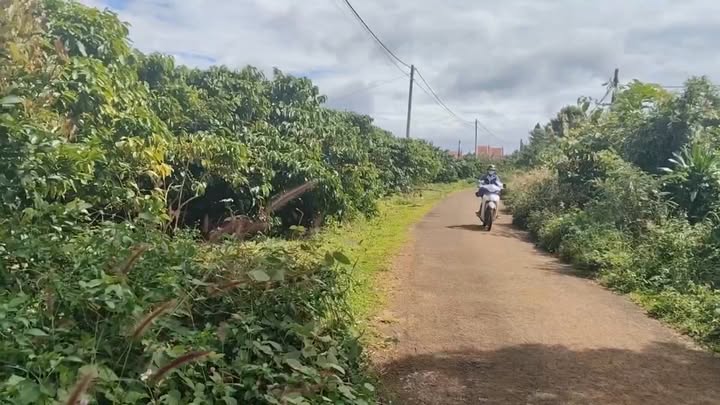 Đất mặt tiền đường nhựa xã Ia Bă, huyện Ia Grai, 720m² giá 330 triệu - Cơ hội đầu tư hấp dẫn!