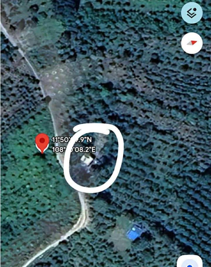 Đất 1.3 sào Đạ Đờn giá 450 triệu - Cơ hội đầu tư tuyệt vời!