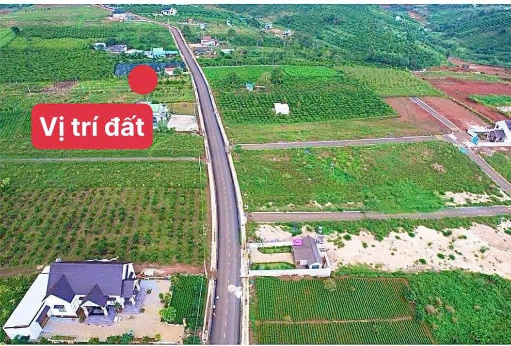 Đất nền hẻm 134 Phùng Hưng, Bảo Lộc 208m² giá chỉ 1.55 tỷ - Đầu tư sinh lời ngay!