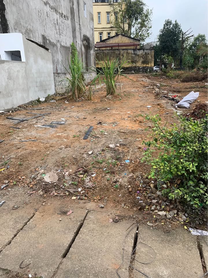 Đất nền 85m² tại phường Chùa Hang, Thái Nguyên - Giá thỏa thuận hấp dẫn!