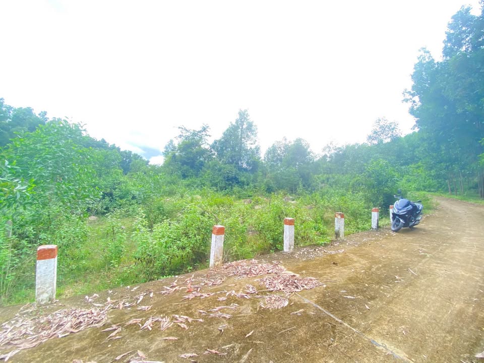 Đất nền Khánh Đông 2800m² giá chỉ 450 triệu - Cơ hội vàng cho nhà vườn!