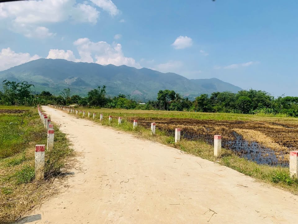 Đất ruộng Khánh Thượng 517,7m² giá chỉ 85 triệu - Mặt tiền đường ô tô