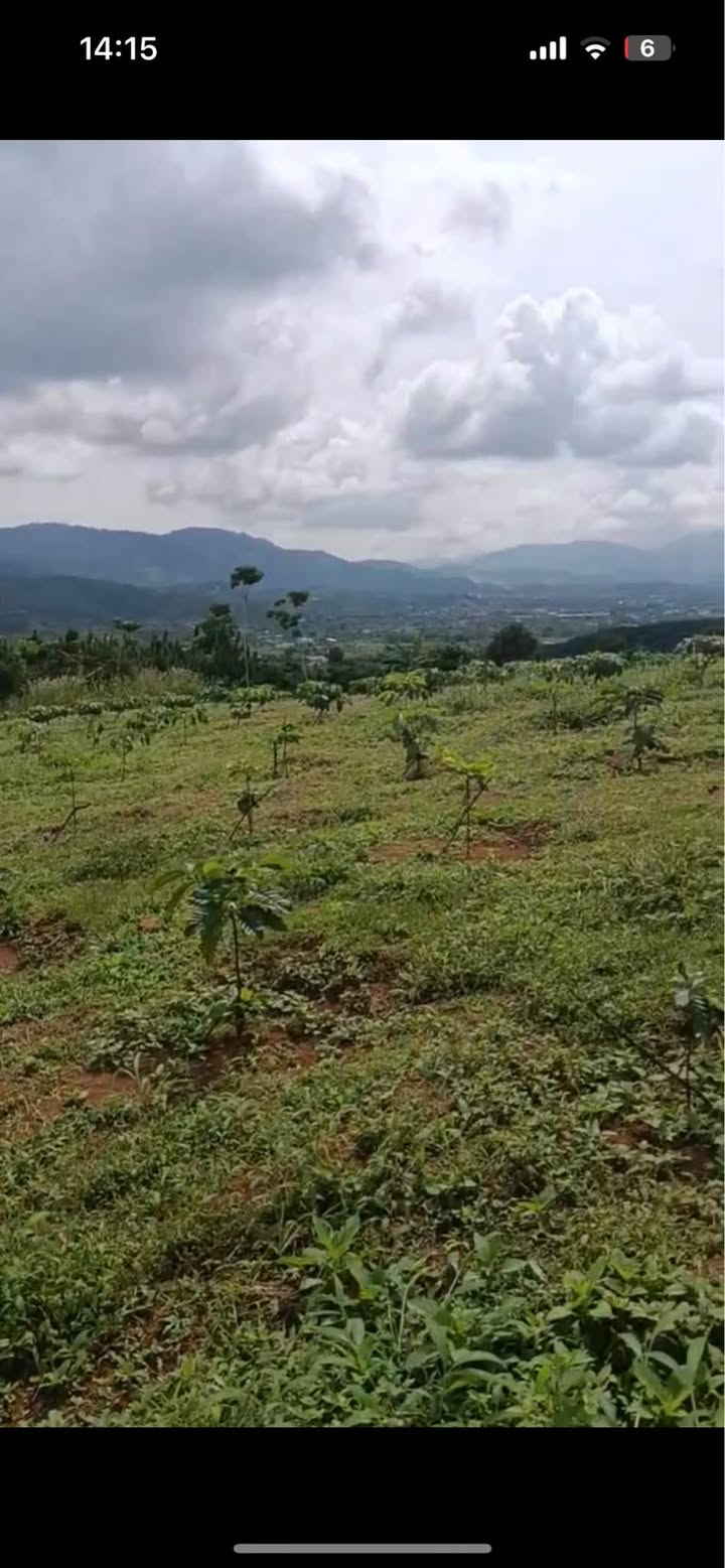 Đất nền 6000m² hẻm Phan Huy Ích, Bảo Lộc - Giá chỉ 2.82 tỷ - Cơ hội đầu tư tuyệt vời!