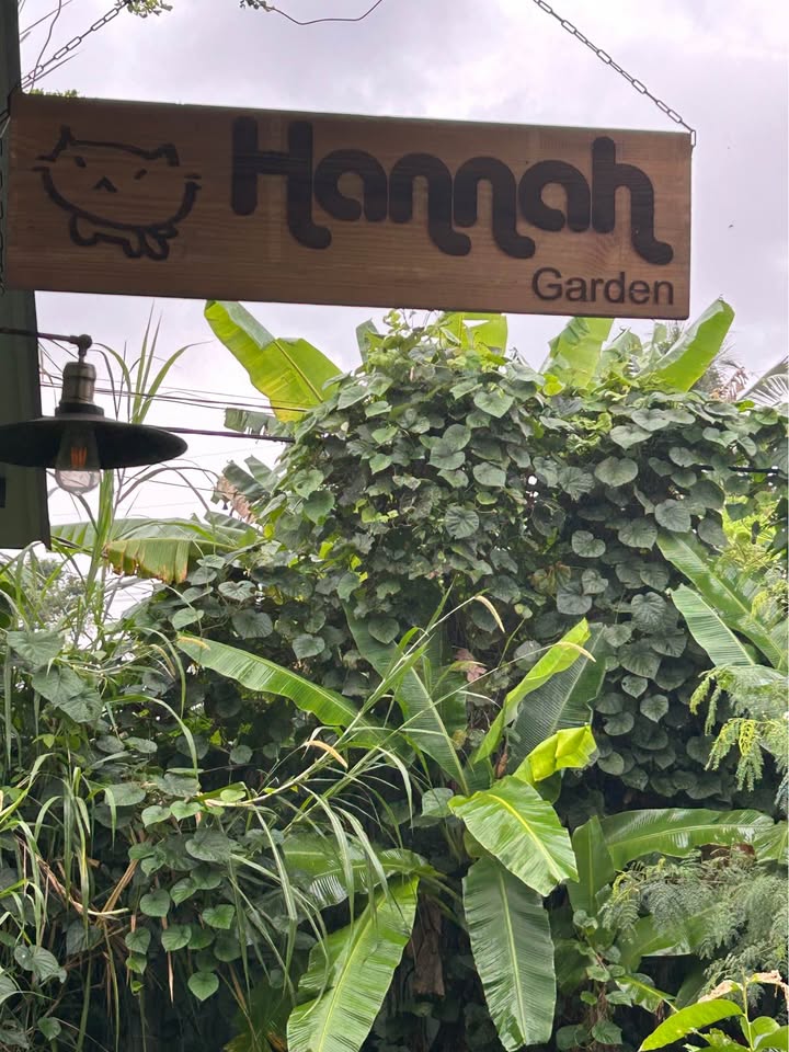 Homestay nguyên căn tại Buôn Ma Thuột - Sân vườn rộng, đốt lửa trại miễn phí!