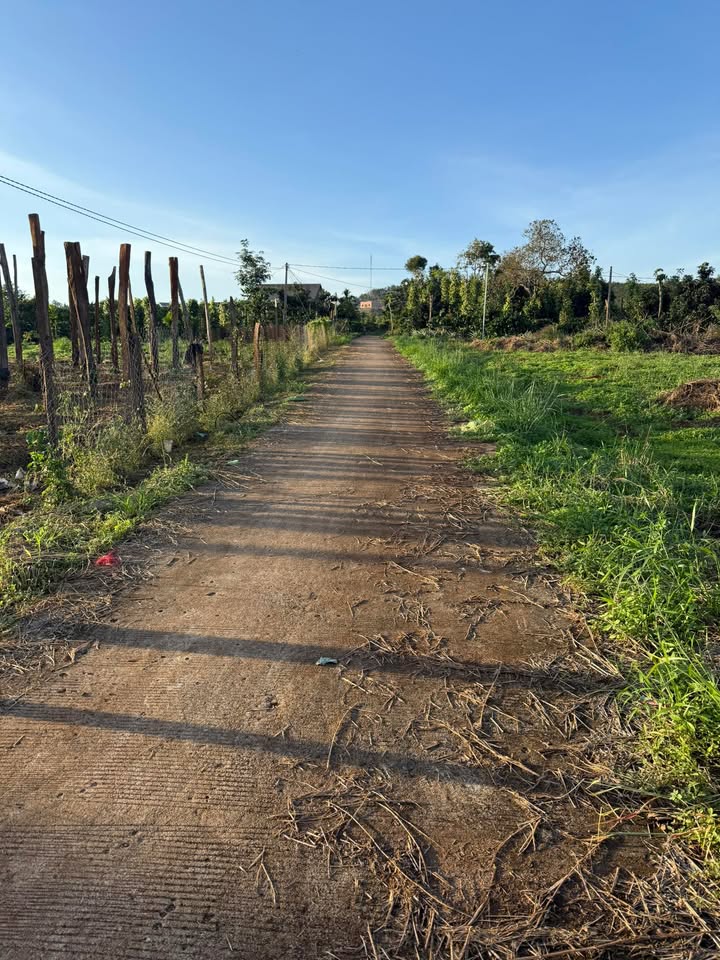 Đất nền Đắk Wer 1065m² giá 350 triệu - Cơ hội đầu tư hấp dẫn!