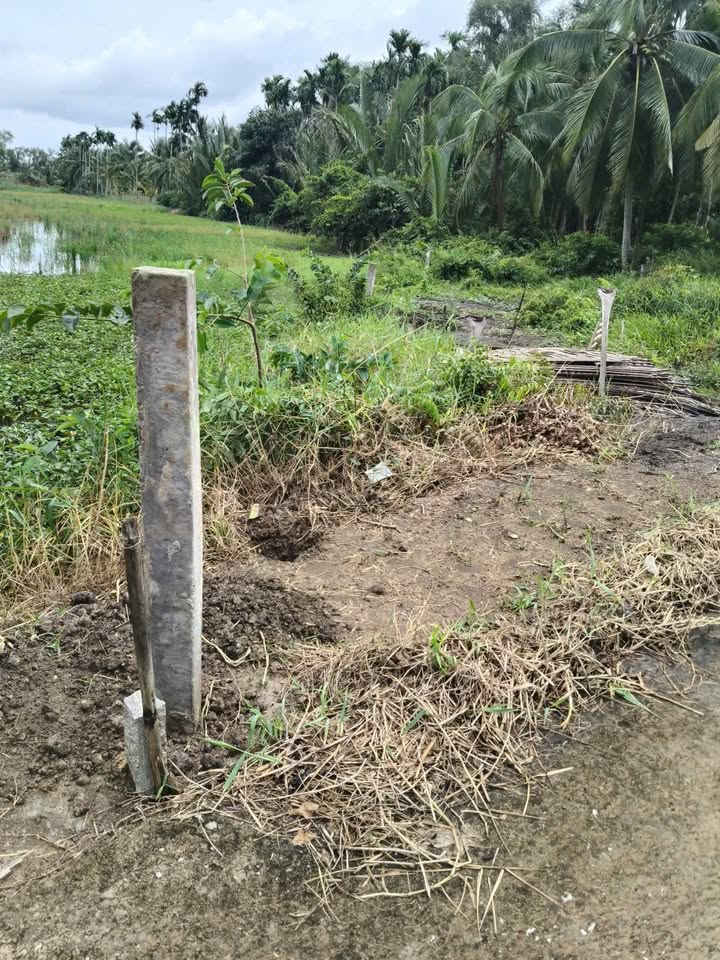 Đất nền Bình An Châu Thành 183m² giá chỉ 190 triệu - Cơ hội đầu tư hấp dẫn!