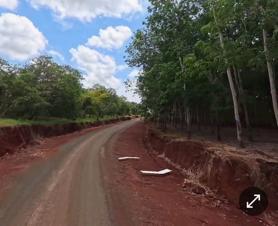 Đất nền Tân Phước, Đồng Phú 1632m² giá 890 triệu - Cơ hội đầu tư hấp dẫn!