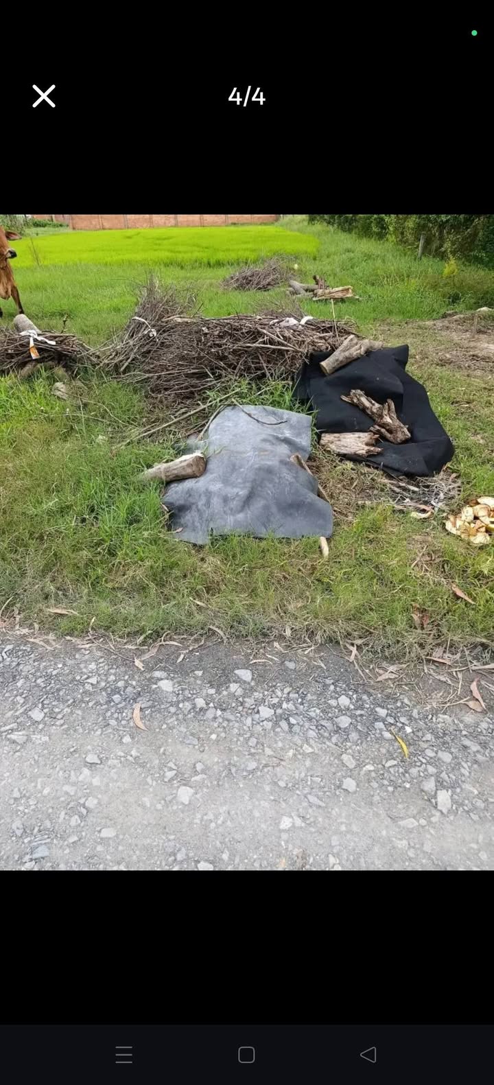 Đất nền 1500m² tại Đức Hòa, Long An - Giá chỉ 6.7 tỷ, chính chủ!