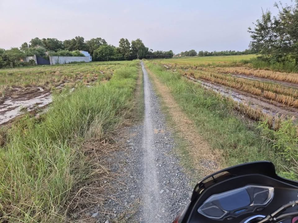 Đất nông nghiệp 1800m² xã Long Hựu Tây, Cần Đước - Giá chỉ 1.116 tỷ, ô tô tới nơi!