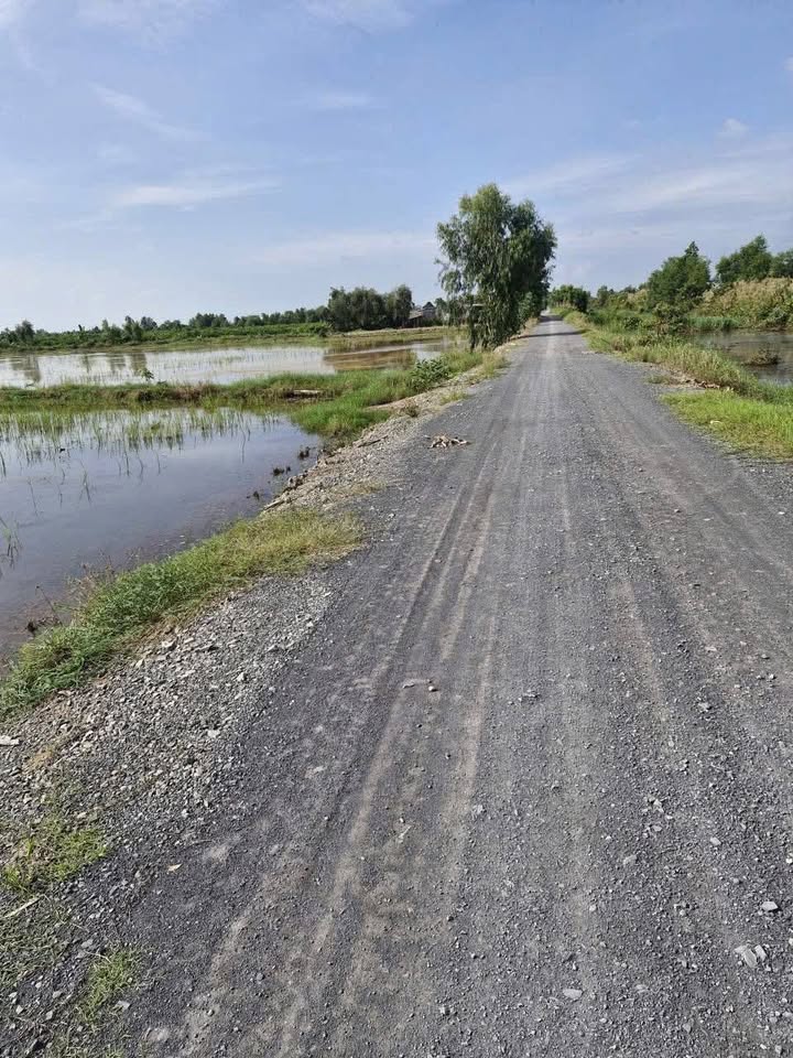 Đất vườn 2100m² xã Tân Thành - Thủ Thừa giá 1.617 tỷ - Tiềm năng đầu tư hấp dẫn!