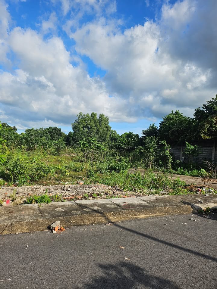 Đất góc 2 mặt tiền tại Tam Phước, Long Điền 156m² giá 1.4 tỷ - Đầu tư sinh lời ngay!