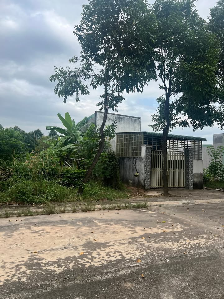 Đất nền 300m² phường Thới Hòa, Bến Cát giá chỉ 3.2 tỷ - Tiềm năng đầu tư lớn!