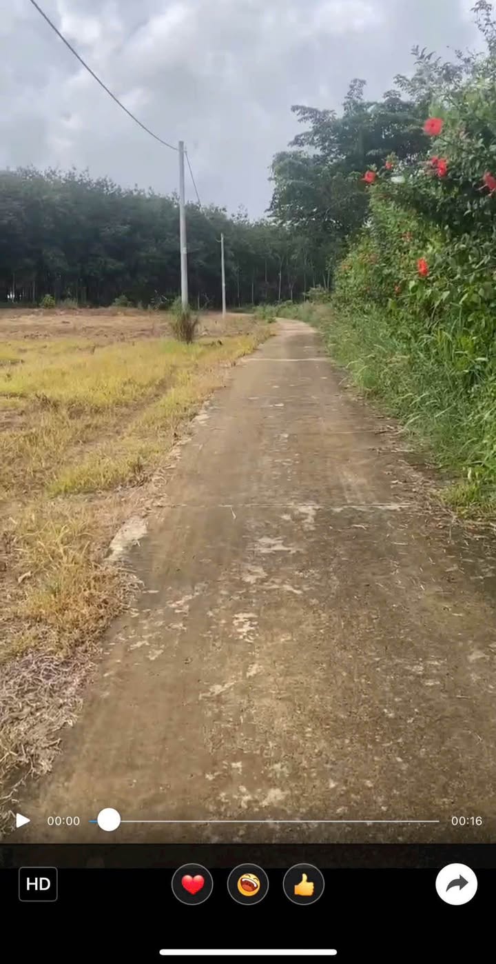 Đất nền Lộc Hiệp, Lộc Ninh 396m² giá chỉ 150 triệu - Cơ hội đầu tư hấp dẫn!