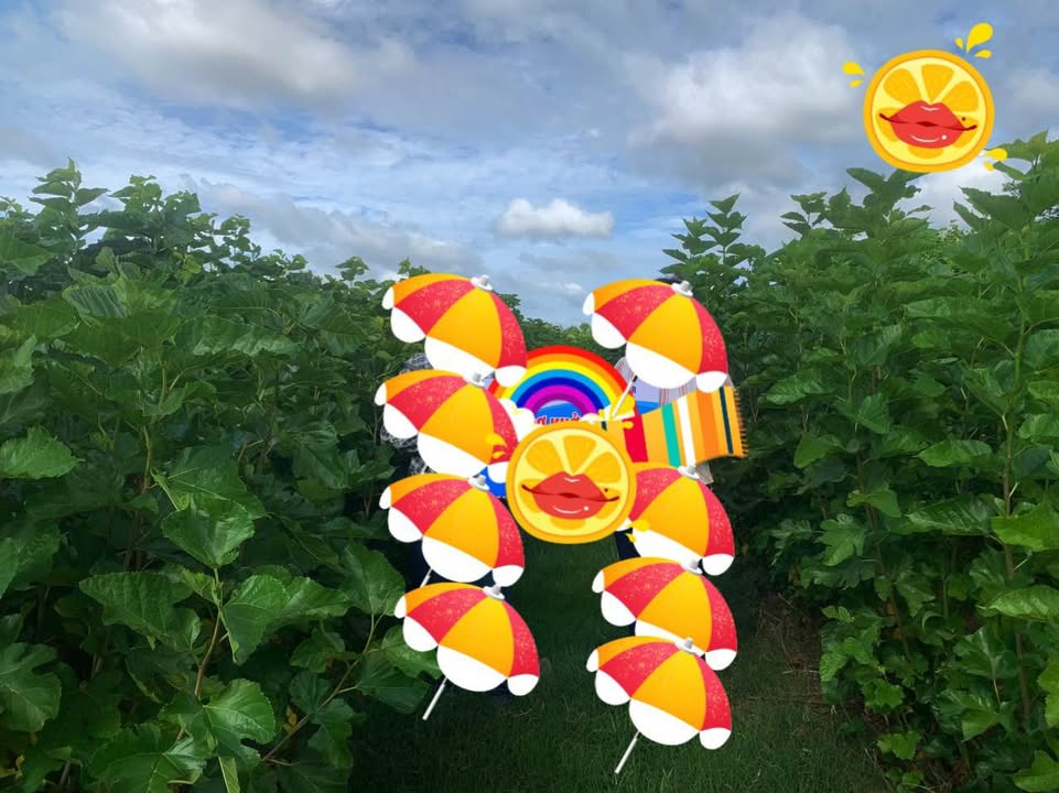 Đất mặt tiền đường DT 31, xã Xuân Phú 5000m² giá 1.65 tỷ - Vị trí đẹp cho kinh doanh!