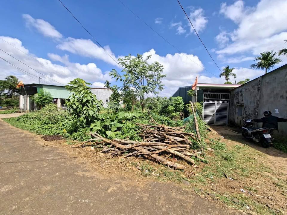 Đất nền Ea Kao, Buôn Ma Thuột 252m² giá 1.1 tỷ - Sổ đỏ chính chủ, đường nhựa thông thoáng!