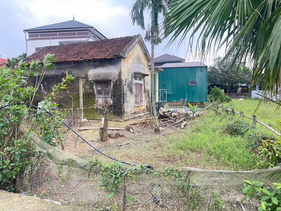 Đất thổ cư Tân Lâm Hương, Thạch Hà 100m² giá 700 triệu - Lối đi ô tô tận nơi!