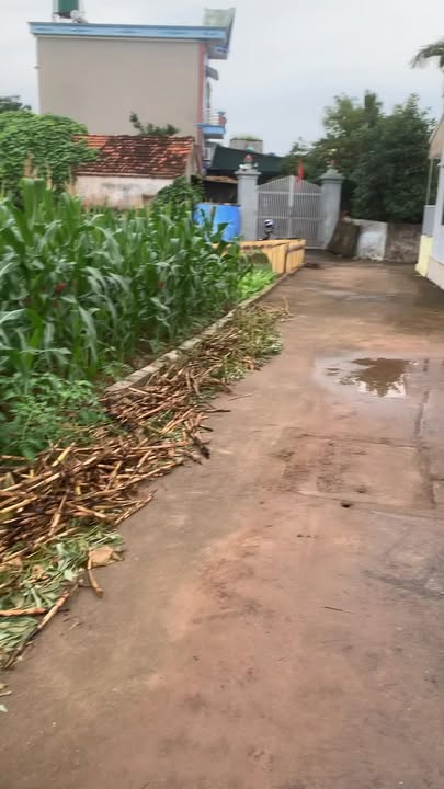 Đất nền Văn Hội Ninh Giang 105m² giá 500 triệu - Đầu tư sinh lời ngay!