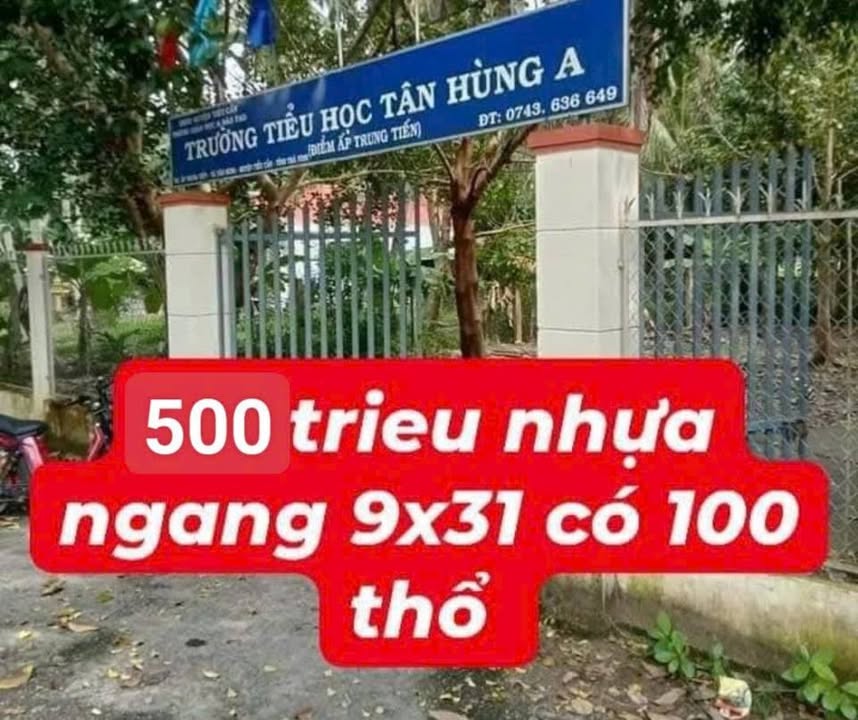 Đất nền Tân Hùng Tiểu Cần 279m² giá 500 triệu - Sổ đỏ chính chủ!