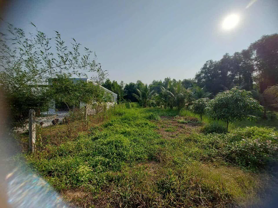 Đất vườn Thạnh Lợi Bến Lức 500m² giá 600 triệu - Đầu tư lý tưởng!