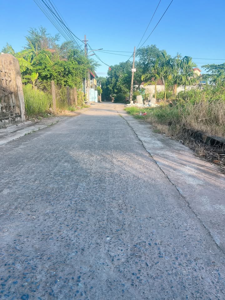 Đất thổ cư Nghĩa Lạc 248m² giá 1.2 tỷ - Bán gấp chính chủ!