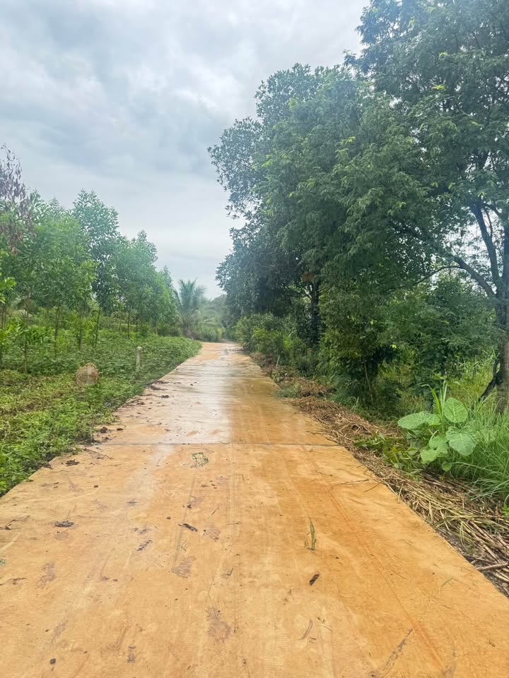 Đất nền Xuân Lộc Đồng Nai 195m² giá 600 triệu - Cơ hội đầu tư hấp dẫn!