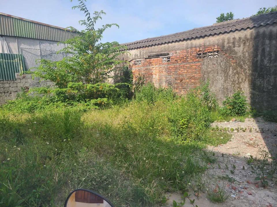 Đất nền Phú Xuân 123m² giá 8xx triệu - Tiềm năng đầu tư cao!