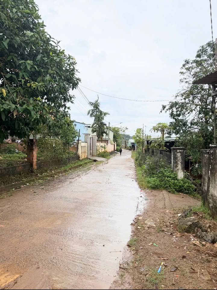 Đất hẻm Bùi Viện, Pleiku 310m² giá thỏa thuận - Cơ hội đầu tư tuyệt vời!