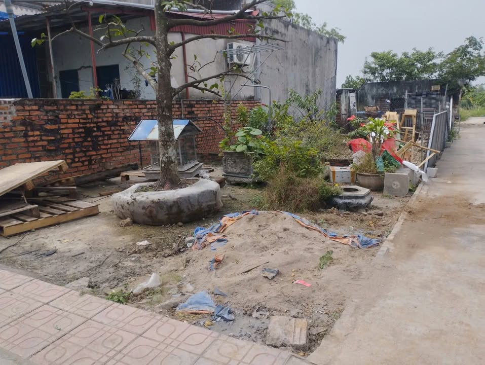 Bán đất Nam Sơn, An Dương 50m² giá 1.49 tỷ - Sổ đỏ chính chủ, ô tô vào tận nơi!