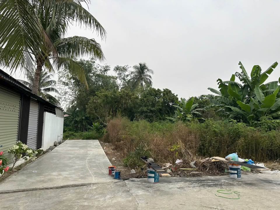 Đất nền Bạch Mai, Đồng Thái 63m² - Giao thông thuận tiện, ô tô đỗ cửa!