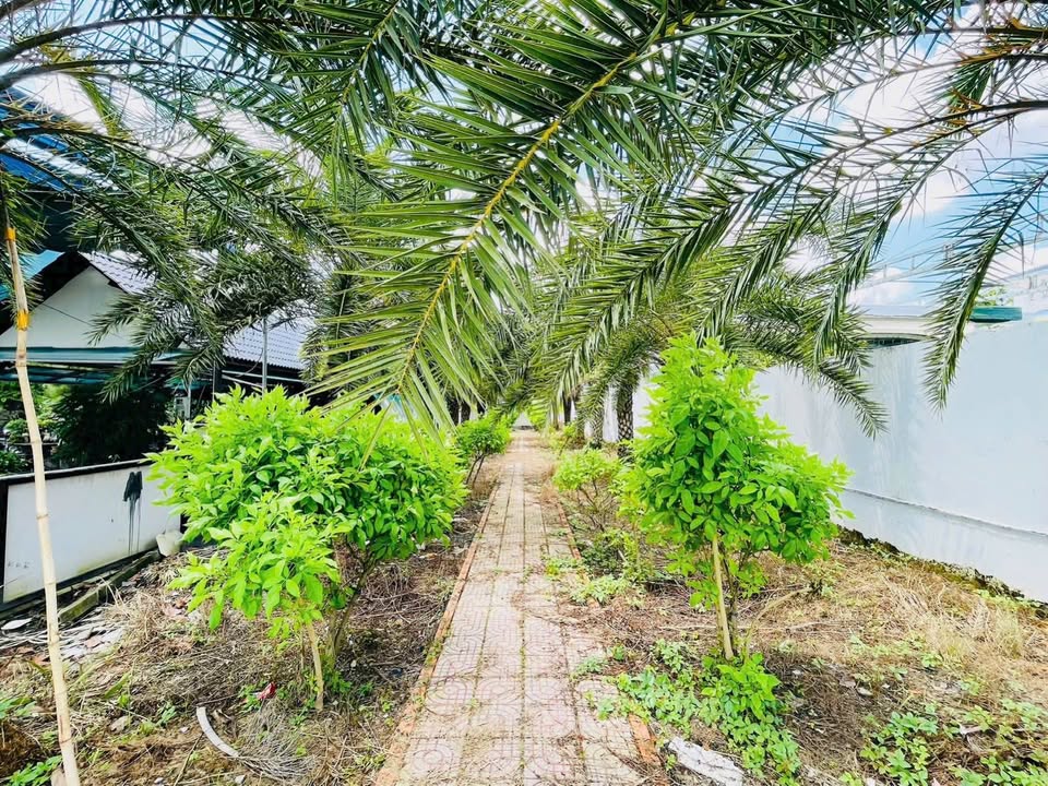 Đất nền mặt tiền QL91 Thuận Hưng 482m² - Tiềm năng kinh doanh vượt trội!