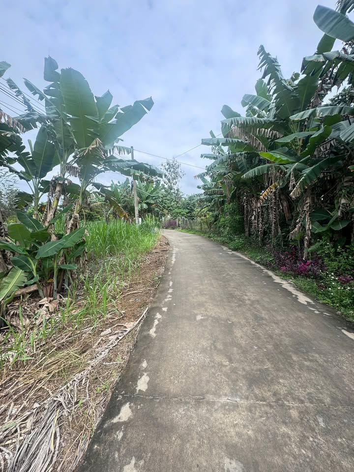 Đất thổ cư 300m² Ngọc Định, Định Quán 2800m² giá 2 tỷ - Cơ hội đầu tư hấp dẫn!